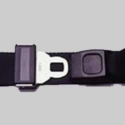 Picture of product Replacement Strap - 430